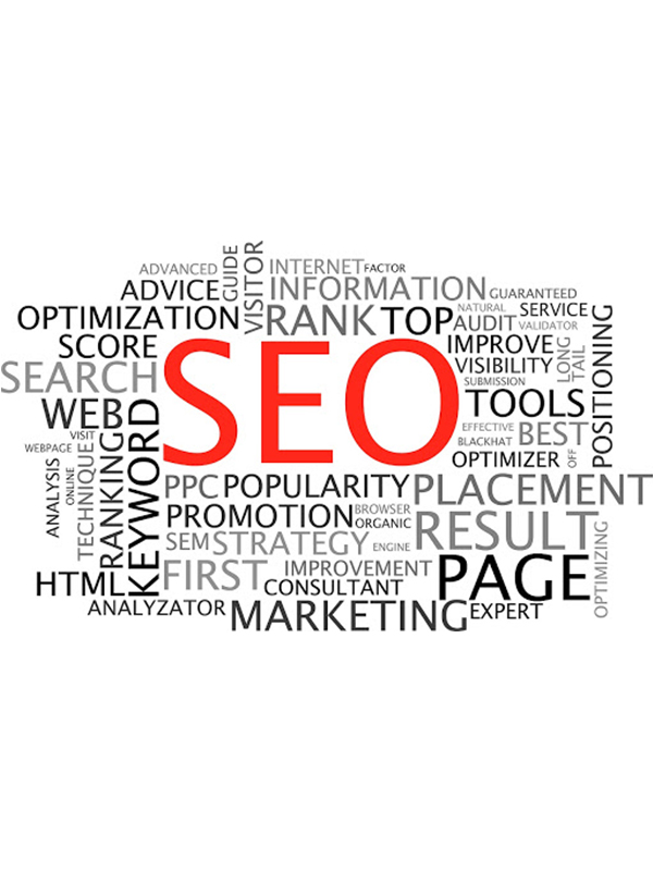 seo-services-in-nagpur